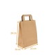 Kraft bag with flat handles 22+10x28cm, 'Kraft Naturel' 70g/m2, box of 250