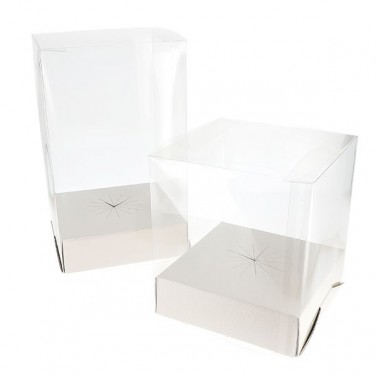 Boite Clip en PVC Transparent