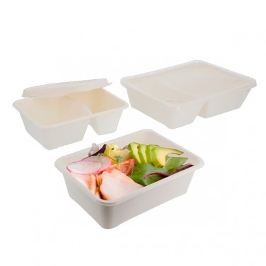 Schale aus Zuckerrohrschnitzel