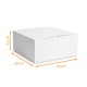 Ghiacciaia isolata 29x29x13cm Bianco, scatola da 25