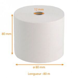 Lot De 5 Rouleaux Étiquettes Thermiques 100x150mm - Pour Imprimantes Zebra GK420, GX420 - 1250 Étiquettes