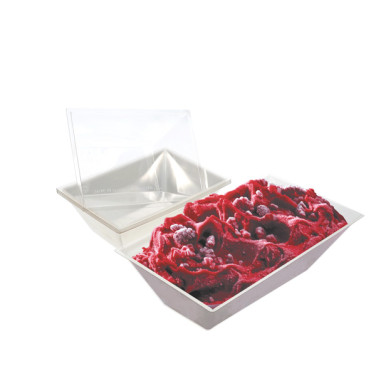 Insert et couvercle pour bac thermique 