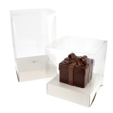 Caja de clips de PVC transparente