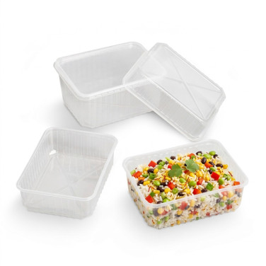 Vassoi rettangolari serie 690